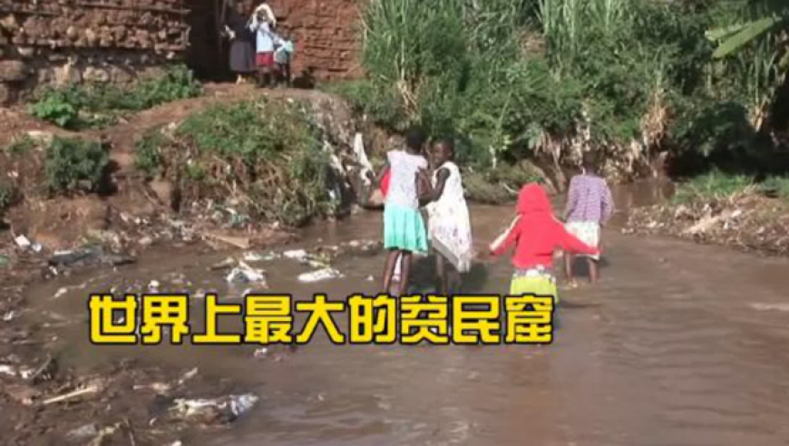 香港澳门王中王管家婆精准资料,经济性执行方案剖析_纪念版V12.11