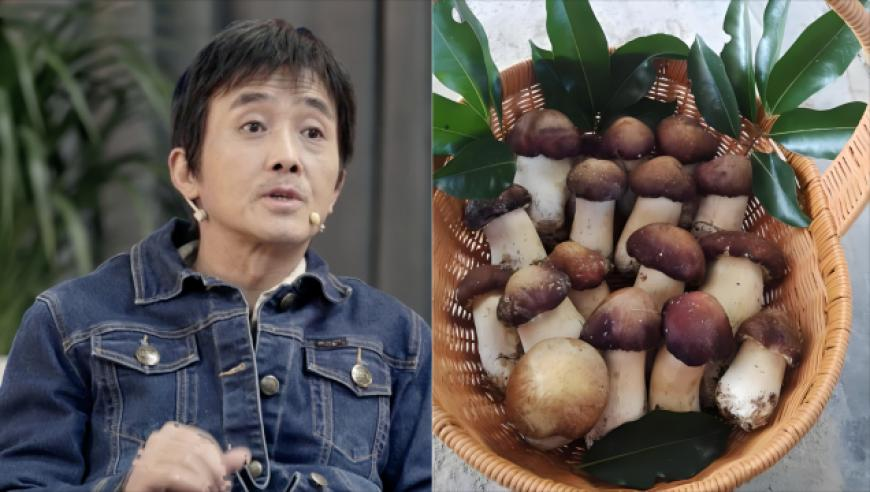 券商发债融资需求持续降温,香港集发彩坛资料中心,展开计划实施_iPadV7.79