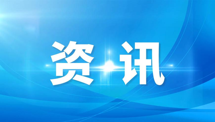雷锋平特,华为天才少年任南大副教授,多元化方案执行策略_高级版V12.43