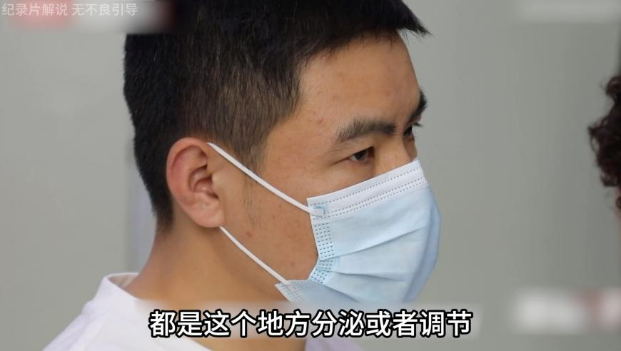 管家婆2025新澳正版资料奧,桑延温以凡一个比一个醋,最新正品解答落实_测试版V2.97